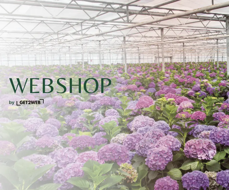 Overzicht webshop bloemen en planten